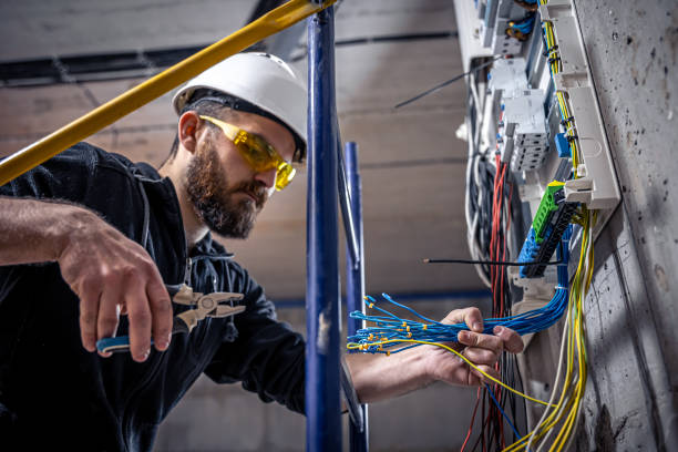 Best Electric Panel Repair  in Cudahy, WI
